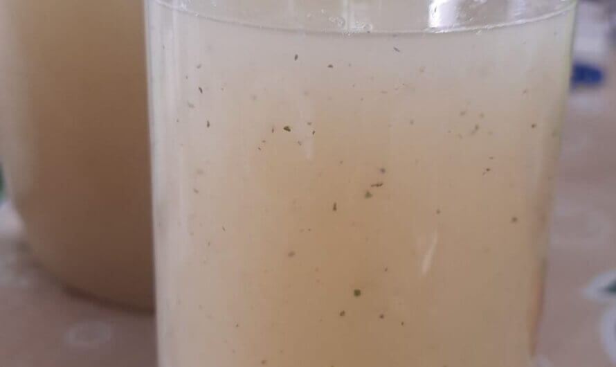 Agua de guayaba, limón y apio.